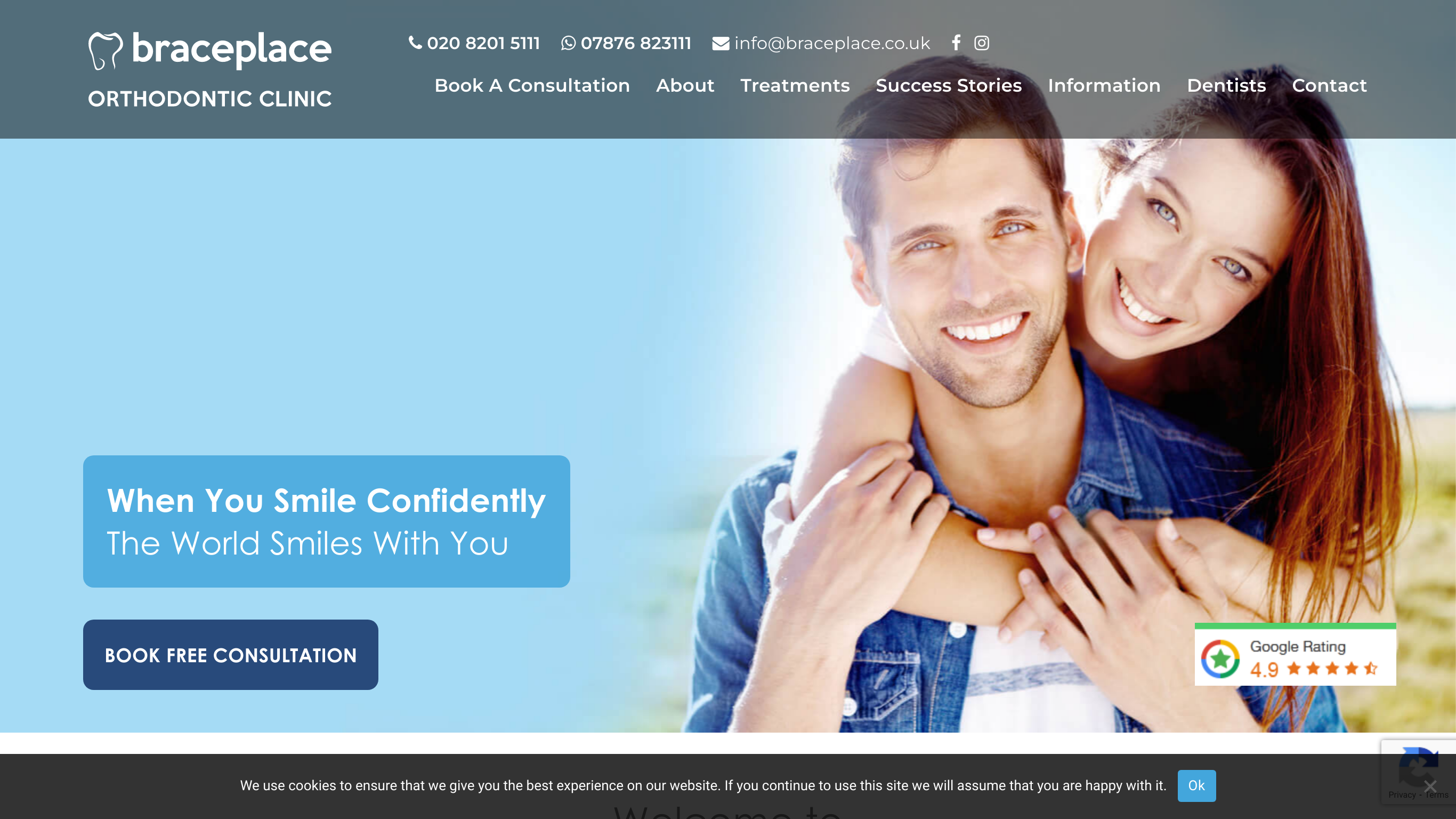 Website screenshot for Brace Place, London