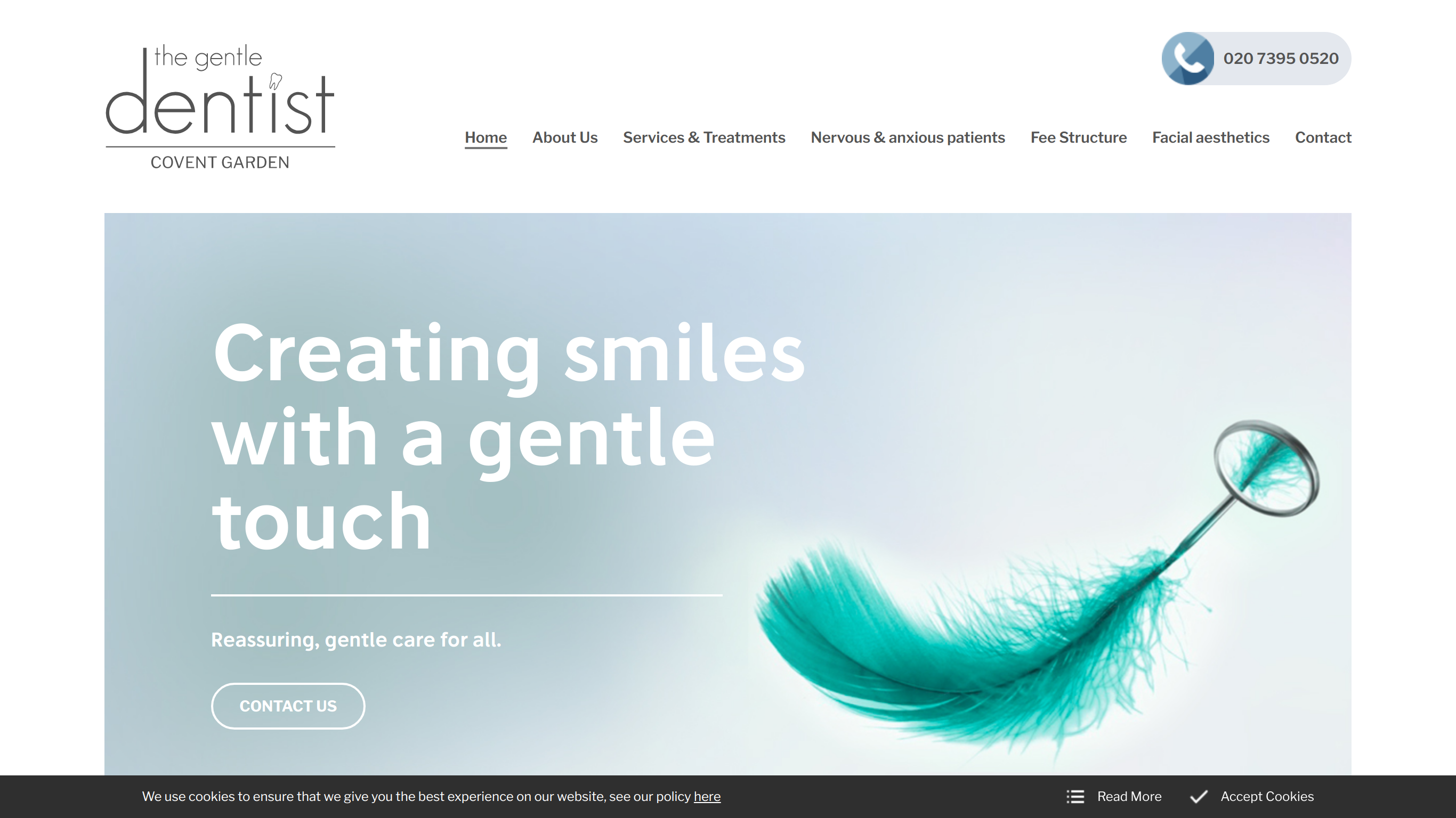 Website screenshot for The Gentle Dentist, London